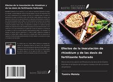 Bookcover of Efectos de la inoculación de rhizobium y de las dosis de fertilizante fosforado