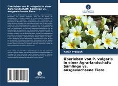 Bookcover of Überleben von P. vulgaris in einer Agrarlandschaft: Sämlinge vs. ausgewachsene Tiere