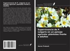 Bookcover of Supervivencia de P. vulgaris en un paisaje agrícola: plántulas frente a adultos