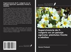 Copertina di Supervivencia de P. vulgaris en un paisaje agrícola: plántulas frente a adultos