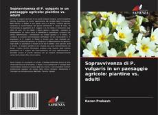 Buchcover von Sopravvivenza di P. vulgaris in un paesaggio agricolo: piantine vs. adulti