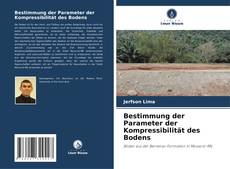 Bestimmung der Parameter der Kompressibilität des Bodens kitap kapağı
