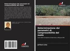 Bookcover of Determinazione dei parametri di compressibilità del suolo