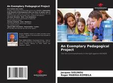 Buchcover von An Exemplary Pedagogical Project