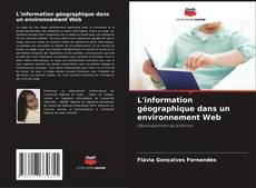 Capa do livro de L'information géographique dans un environnement Web 