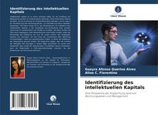 Identifizierung des intellektuellen Kapitals kitap kapağı