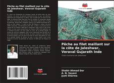 Обложка Pêche au filet maillant sur la côte de Jaleshwar, Veraval Gujarath Inde