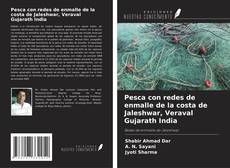 Bookcover of Pesca con redes de enmalle de la costa de Jaleshwar, Veraval Gujarath India