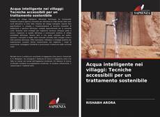 Portada del libro de Acqua intelligente nei villaggi: Tecniche accessibili per un trattamento sostenibile