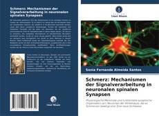 Couverture de Schmerz: Mechanismen der Signalverarbeitung in neuronalen spinalen Synapsen