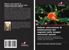 Portada del libro de Dolore: meccanismi di elaborazione del segnale nelle sinapsi neuronali spinali