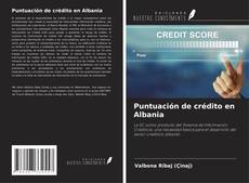 Bookcover of Puntuación de crédito en Albania