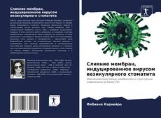 Bookcover of Слияние мембран, индуцированное вирусом везикулярного стоматита