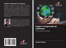Bookcover of Capire l'impronta di carbonio