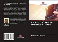 Borítókép a  L'effet du chômage sur l'économie du Ghana - hoz