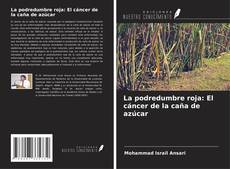 Bookcover of La podredumbre roja: El cáncer de la caña de azúcar
