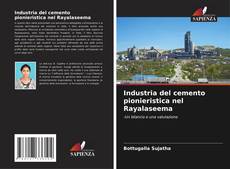 Buchcover von Industria del cemento pionieristica nel Rayalaseema