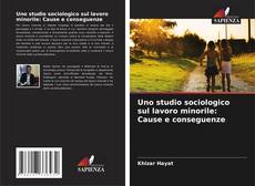 Copertina di Uno studio sociologico sul lavoro minorile: Cause e conseguenze