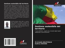 Buchcover von Gestione sostenibile del territorio