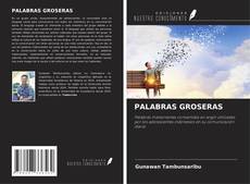 PALABRAS GROSERAS的封面