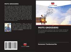 MOTS GROSSIERS的封面