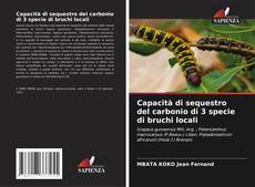 Bookcover of Capacità di sequestro del carbonio di 3 specie di bruchi locali
