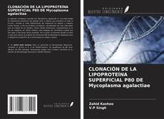 Portada del libro de CLONACIÓN DE LA LIPOPROTEÍNA SUPERFICIAL P80 DE Mycoplasma agalactiae