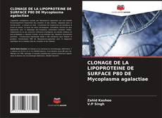 CLONAGE DE LA LIPOPROTEINE DE SURFACE P80 DE Mycoplasma agalactiae的封面