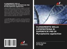Bookcover of CLONAMENTO DELLA LIPOPROTEINA DI SUPERFICIE P80 DI Mycoplasma agalactiae
