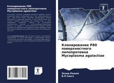 Bookcover of Клонирование P80 поверхностного липопротеина Mycoplasma agalactiae