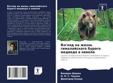 Обложка Взгляд на жизнь гималайского бурого медведя в неволе