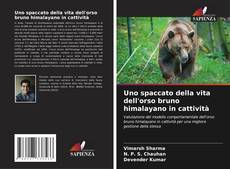 Buchcover von Uno spaccato della vita dell'orso bruno himalayano in cattività