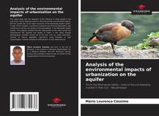 Bookcover of Analysis of the environmental impacts of urbanization on the aquifer