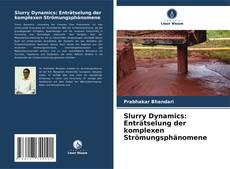 Bookcover of Slurry Dynamics: Enträtselung der komplexen Strömungsphänomene