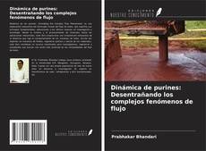 Обложка Dinámica de purines: Desentrañando los complejos fenómenos de flujo