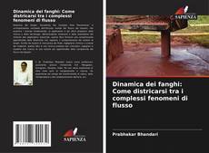 Bookcover of Dinamica dei fanghi: Come districarsi tra i complessi fenomeni di flusso
