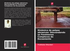 Capa do livro de Dinâmica de polpas abrasivas: Desvendando os Fenómenos Complexos do Escoamento 