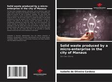 Buchcover von Solid waste produced by a micro-enterprise in the city of Manaus
