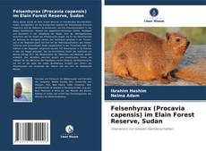 Felsenhyrax (Procavia capensis) im Elain Forest Reserve, Sudan kitap kapağı