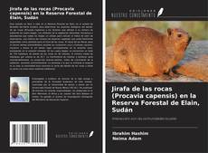 Couverture de Jirafa de las rocas (Procavia capensis) en la Reserva Forestal de Elain, Sudán