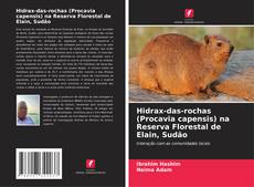 Copertina di Hidrax-das-rochas (Procavia capensis) na Reserva Florestal de Elain, Sudão