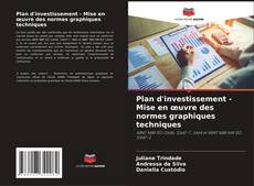 Plan d'investissement - Mise en œuvre des normes graphiques techniques kitap kapağı