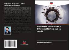 Bookcover of Industrie du marbre : Effets néfastes sur la santé