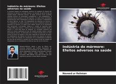 Indústria do mármore: Efeitos adversos na saúde kitap kapağı