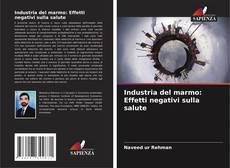 Bookcover of Industria del marmo: Effetti negativi sulla salute