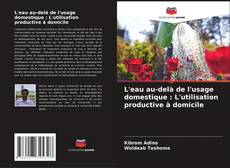 Bookcover of L'eau au-delà de l'usage domestique : L'utilisation productive à domicile