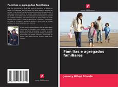 Capa do livro de Famílias e agregados familiares 