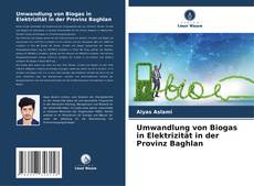 Buchcover von Umwandlung von Biogas in Elektrizität in der Provinz Baghlan