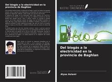 Bookcover of Del biogás a la electricidad en la provincia de Baghlan