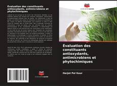Обложка Évaluation des constituants antioxydants, antimicrobiens et phytochimiques